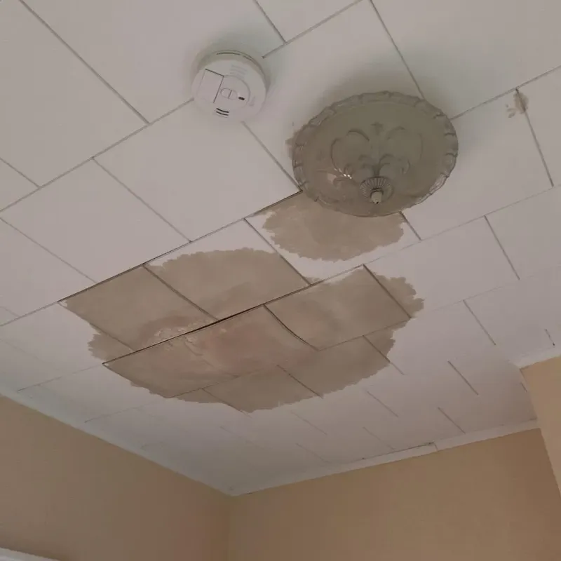 Ceiling Water Damage Repair in Huron, OH