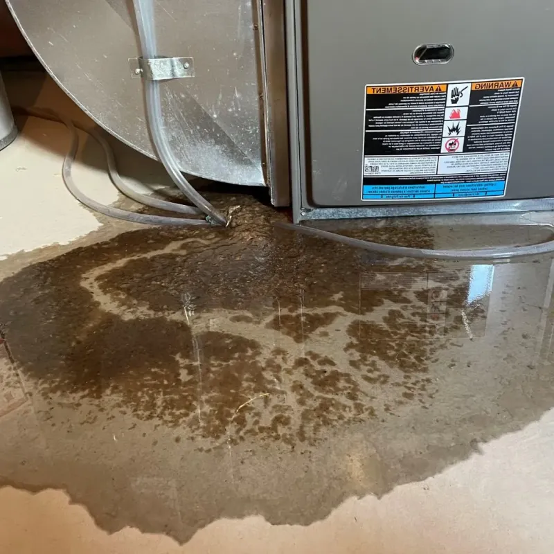 Pipe Burst and Leak Restoration in Huron, OH