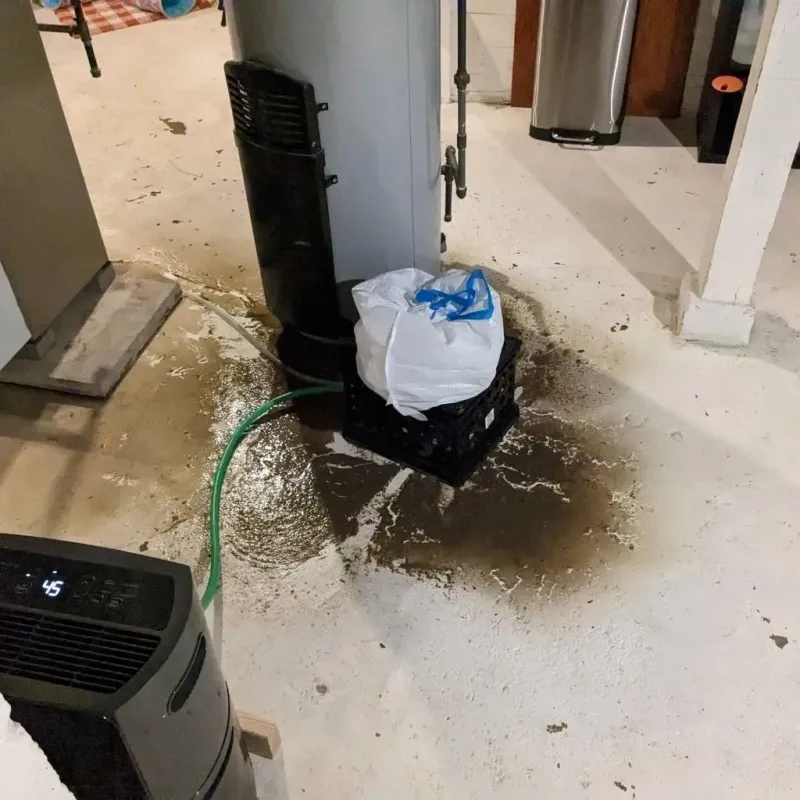Sewage Backup Cleanup Service in Huron, OH